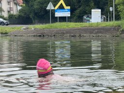 Mainschwimmen Juni 2026